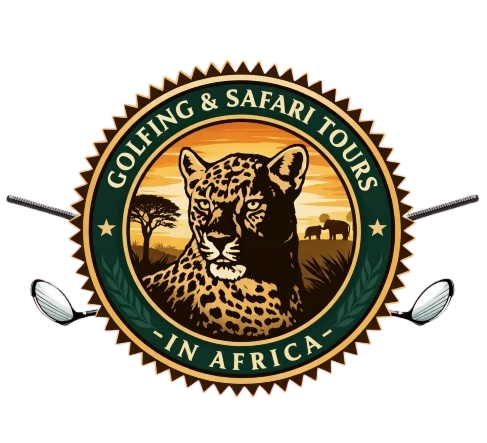 logo removebg preview(1)