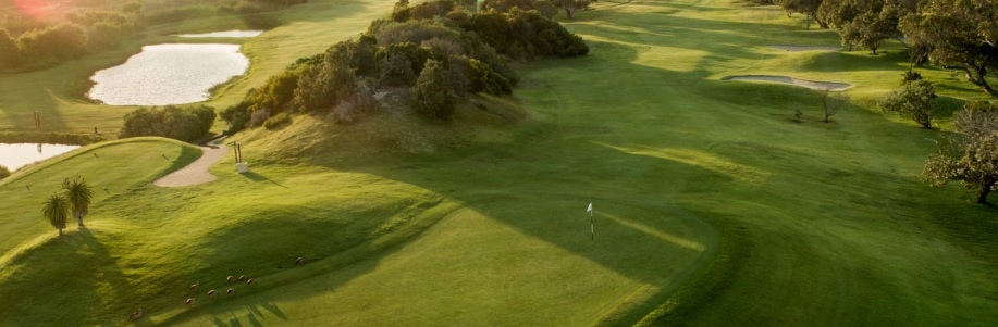 Clovelly Golf Course Cape Town South Africa