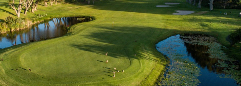 clovelly golf course cape town