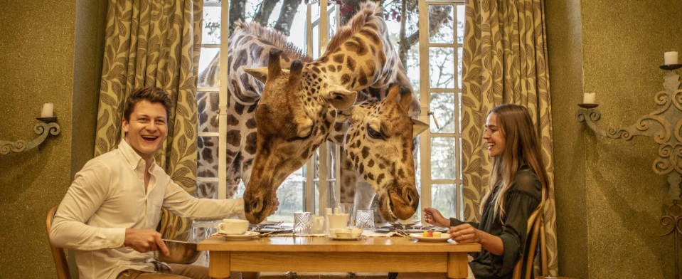 Giraffe Manor Kenya