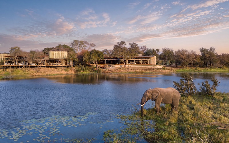 sandringham private game reserve elephant