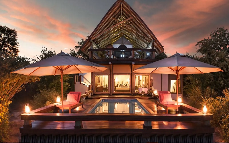feline fields lodge kalahari botswana pool