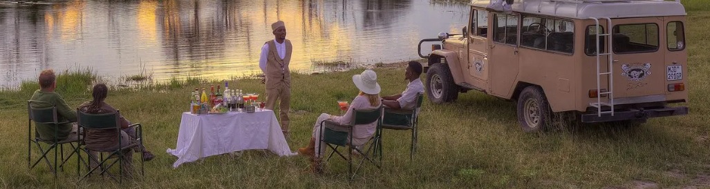 feline fields lodges botswana