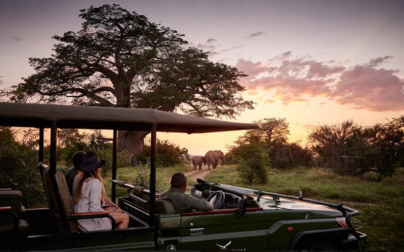 victoria falls river lodge safari 1