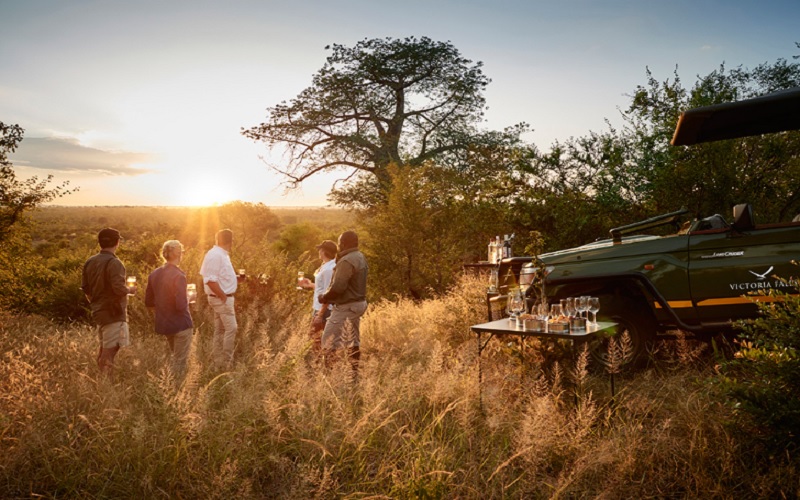 victoria falls river lodge safari