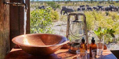 safari bathroom elephants